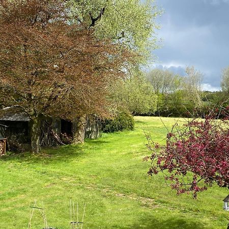 Horseford Lodge B&B South Molton Esterno foto