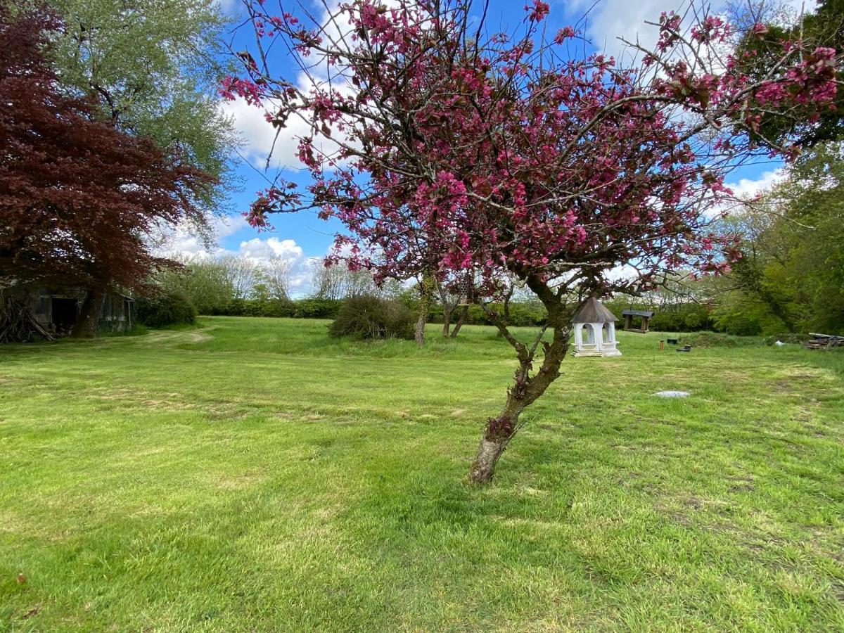 Horseford Lodge B&B South Molton Esterno foto